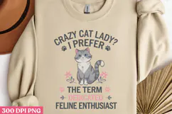 Crazy Cat Lady i Prefer The Term PNG, Funny Animal Jokes Product Image 3