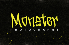 Stylish Typefaces Product Image 2