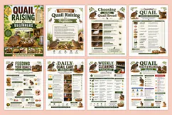Quail Raising for Beginners Kdp interiors Product Image 2