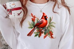 Christmas Cardinal Watercolor Clipart, Christmas Cardinal Product Image 2