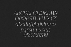 GORGA CURSIVE Elegant Serif Font Product Image 2