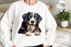 Breeds Of Peeking Dogs Collection Product Image 2