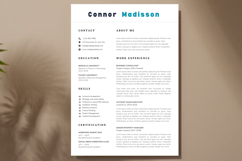 11 Clean Resume CV - Canva Product Image 2