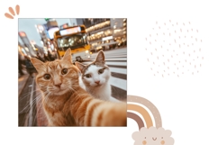 Funny Cats Pillow Sublimation, Animals Pillow Template Product Image 2