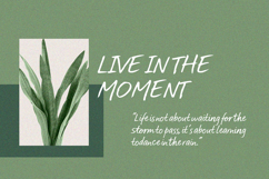 Honduras Story Product Image 2