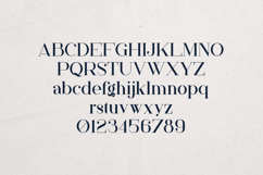 Papillon Serif Font Elegant Modern Editorial Product Image 2