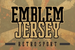 Emblem Jersey Product Image 2