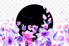 Watercolor Floral Border PNG Product Image 2