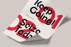 Roigant - Modern Minimal Sans Serif Product Image 2