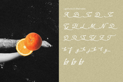 La Garpia Aesthetic Script Font Product Image 2