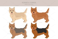 Norwich Terrier clipart Product Image 4