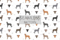 Longdog. Greyhound/Sighthound mix Product Image 6