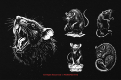 10 Bundle Dark Art Death Rat Plague Skull Rattus Disease Product Image 3