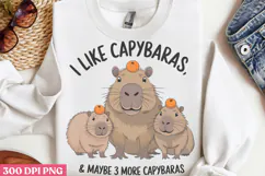 I Like Capybaras & maybe PNG, Funny Capybara Sublimation PNG Product Image 2
