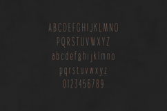 Gorga Headline Modern Sans Serif Font Product Image 2