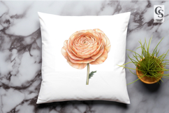Peach Ranunculus Flower Illustration Clipart Sublimation PNG Product Image 3