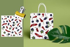 Fruits and berries - 4 Product Image 3