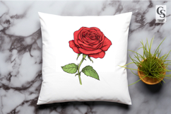 Red Rose Botanical Illustration Clipart Sublimation PNG Product Image 3