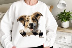 Peeking Dog Collection Clipart Product Image 2