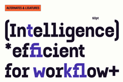 Gubera Mono - Bold Monospace Modern Font Product Image 2