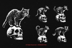 10 Bundle Dark Art Skull Cat Kitten Animal Pet Horror Scary Product Image 3