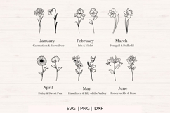 Birth Month Flower SVG | 24 Floral Designs Product Image 2