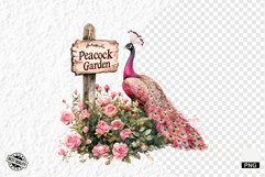 Pink Peacocks Garden Clipart - Peacock PNG Product Image 1
