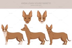 Andalusian Hound Maneto clipart Product Image 2