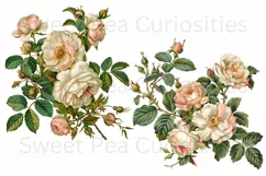 Flowers, Junk Journal, PNG, Clipart, Ephemera, Botanical Product Image 2
