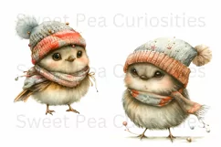 Birds, Christmas, Fall, Ephemera, PNG, watercolor, Clipart Product Image 2