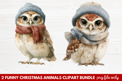 2 Funny Christmas Animals Clipart | Cute Holiday Animal PNG Product Image 1