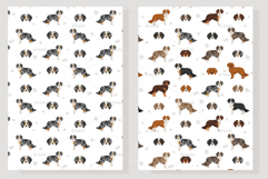 Aussalier dog Product Image 6