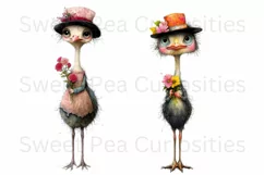Birds, Ostrich, Ephemera, PNG, watercolor, Clipart Product Image 2