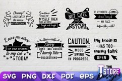 Sarcastic Quotes SVG Bundle | Funny Quotes SVG | T Shirt v.2 Product Image 7