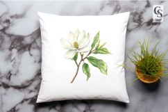 Watercolor Magnolia Flower Clipart Sublimation PNG Product Image 2
