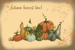 pumpkins clipart, big set of autumn harvest with vegetables Product Image 2