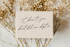 Belle Cherie Elegant Script Font Product Image 2