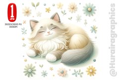 Baby Birman Cat - JPG File Product Image 1