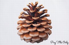 Cozy Christmas Sublimation Clipart Bundle PNG Product Image 3
