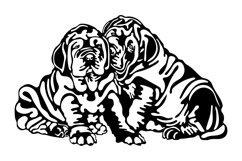 Mastife dog/Two Mastife/Dog Svg/Png/Jpg/Ai/Vector pet Product Image 3
