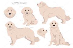 Slovak Cuvac clipart Product Image 2