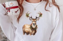 Watercolor Christmas Deer Sublimation Bundle, Christmas Deer Product Image 2