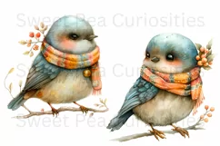 Bird, Fall, Autumn, Ephemera, PNG, watercolor, Clipart Product Image 2