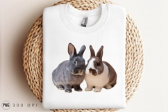 Two Cute Rabbits On A White Background Sublimation PNG Product Image 3