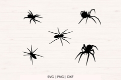 Spider SVG Bundle - Halloween Spider Clipart Product Image 2