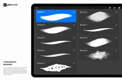 Brushes for Procreate Product Image 2