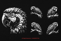 10 Bundle Dark Art Macaw Bird Parrots Animal Beast Horror Product Image 3