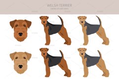 Welsh Terrier clipart Product Image 4