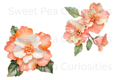 Flowers, Ephemera, PNG, Junk Journal, clipart Product Image 2