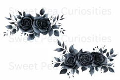 Flowers, Black, Ephemera, PNG, watercolor, Clipart Product Image 2